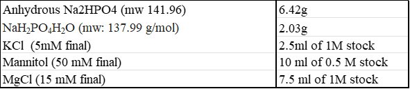Reagent table for 500 ml electroporation buffer: anhydrous Na2HPO4 6.42 g; NaH2PO4·H2O 2.03 g; KCl (5 mM final) 2.5 ml of 1 M stock; mannitol (50 mM final) 10 ml of 0.5 M stock; MgCl (15 mM final) 7.5 ml of 1 M stock